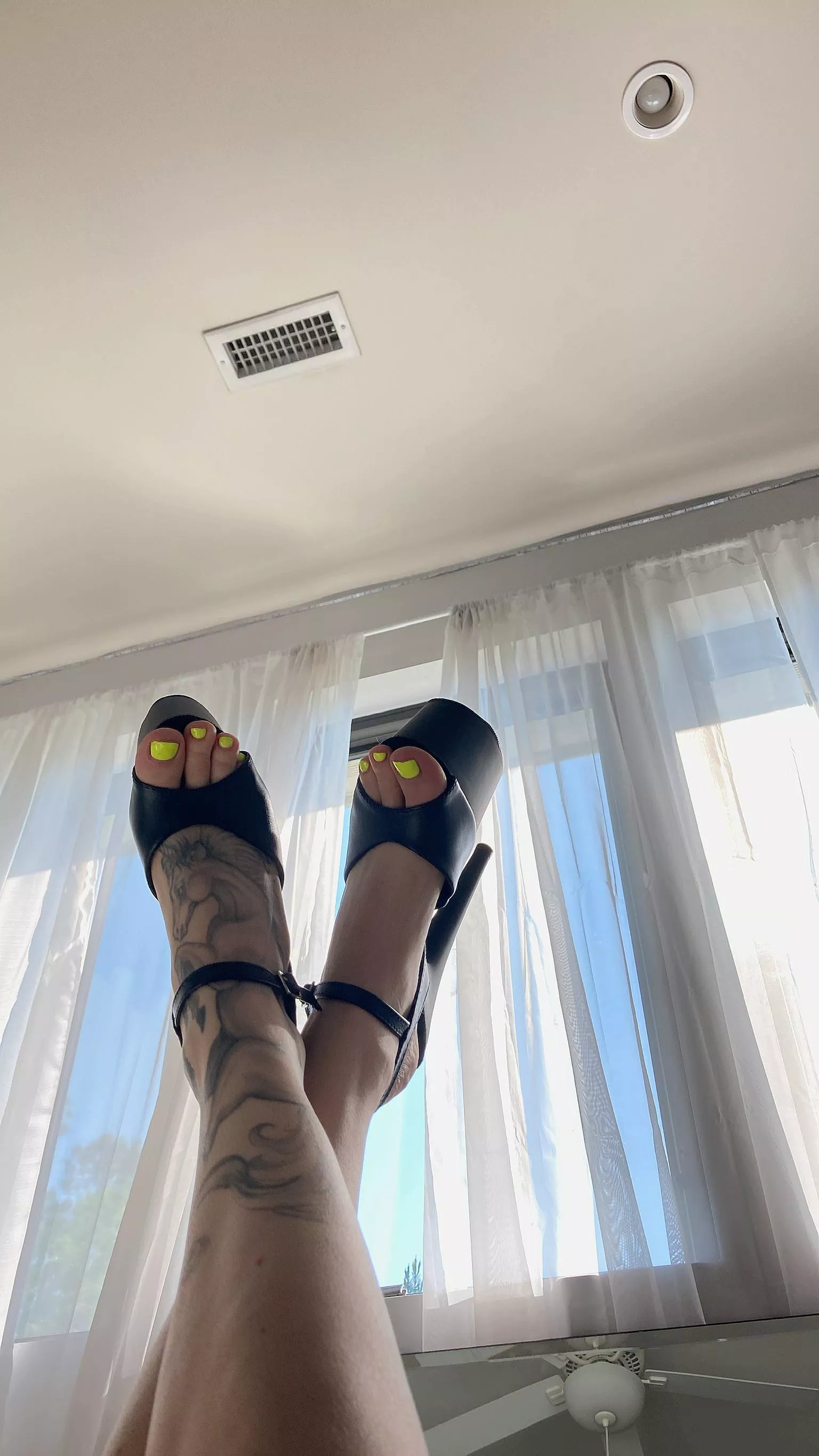 All dressed up & no where to go posted by Ok-Zookeepergame102