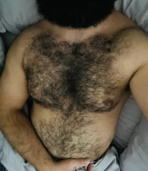 Anyone up for cuddles? by hirsutebear