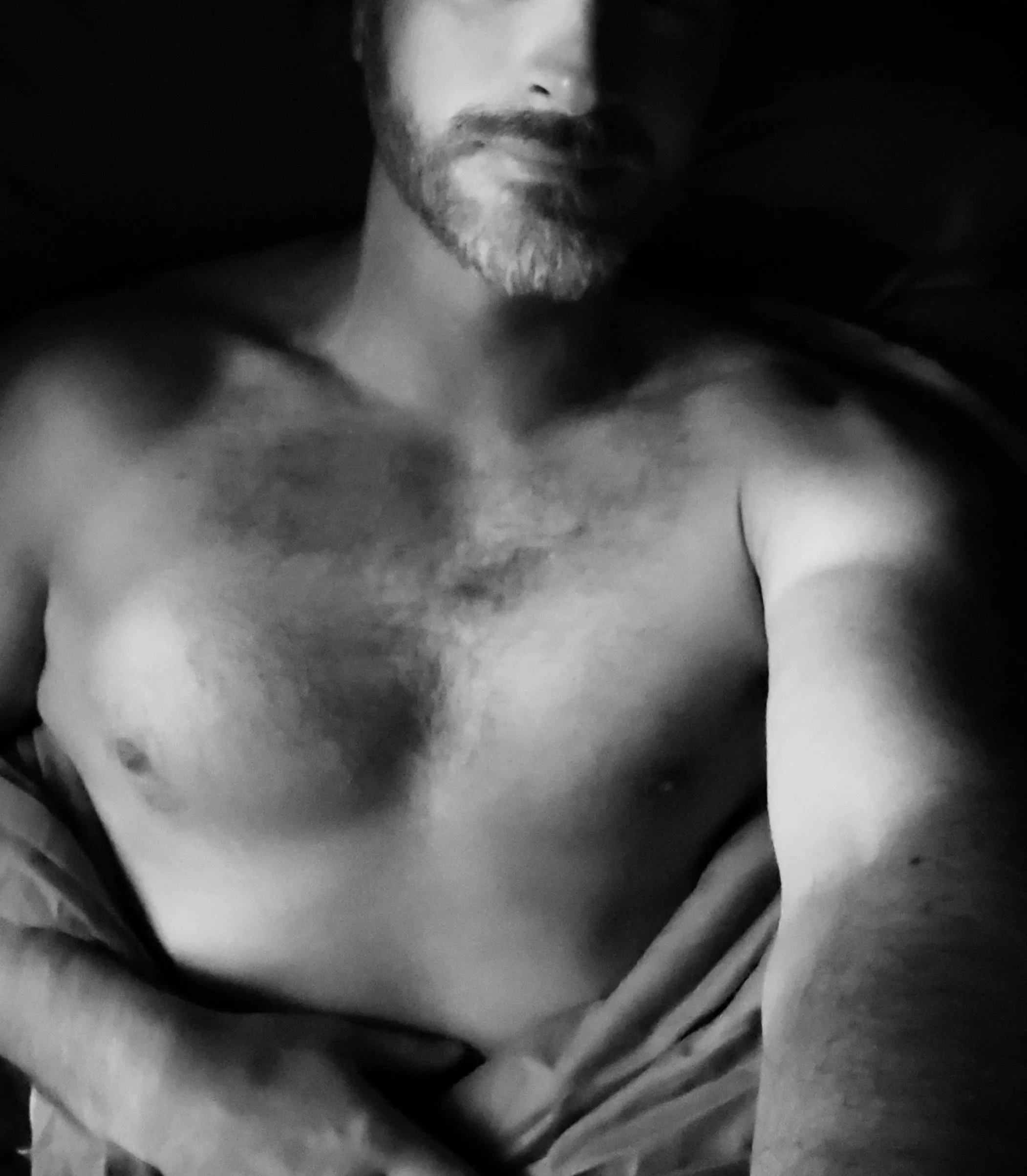 First time posting here; hairy enough? posted by ThisBroDo