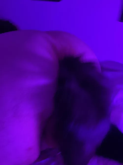 Found this old picture of my ass, figured I'd show off some ;3 by carefreelillie