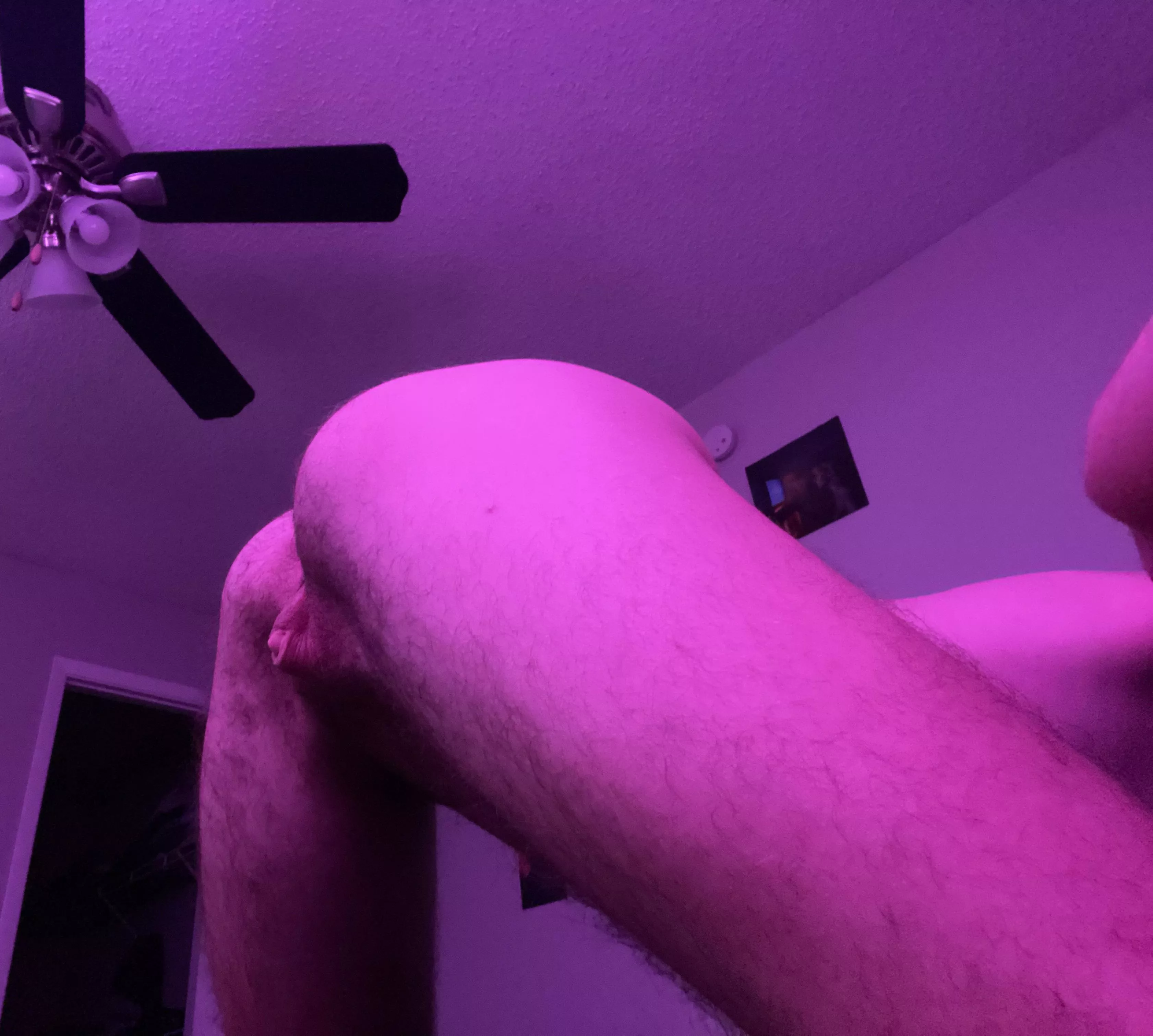 Fuck me just like this posted by Peersiankitty