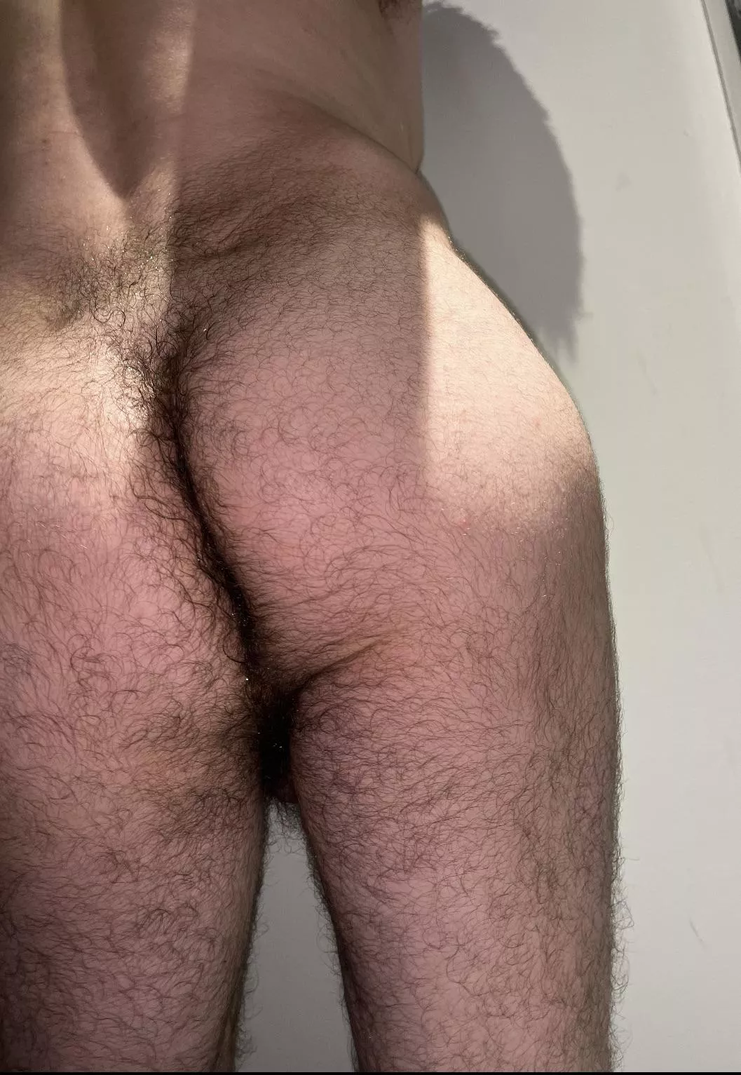 Hairy enough? posted by Throwawayyyyyxdr