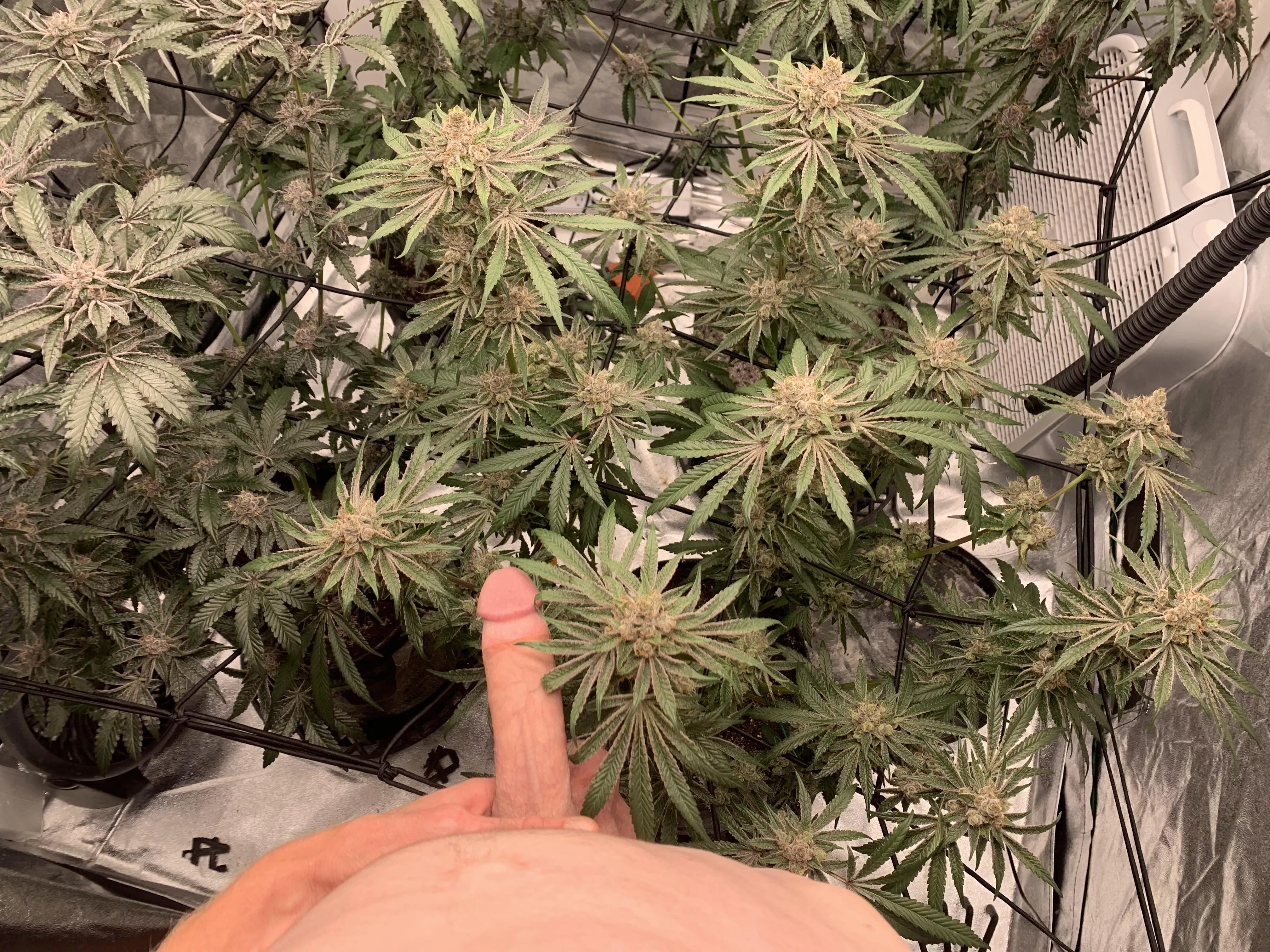 How are [m]y plants looking? posted by Careless-Name796