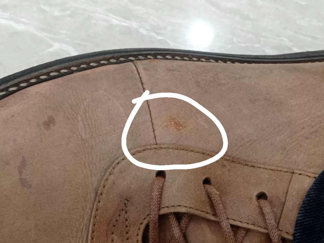 How fucked am I and how do I fix it? posted by Pixies_Girl