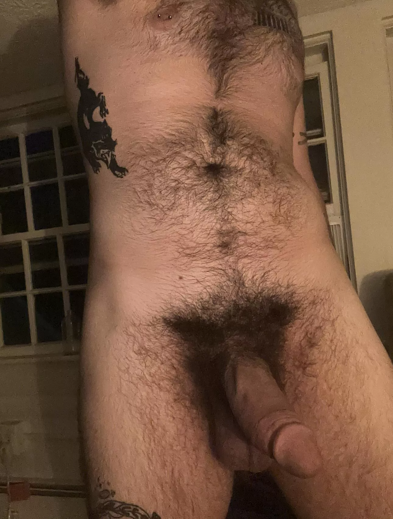 i honestly wish i was hairier posted by commiefuckhead