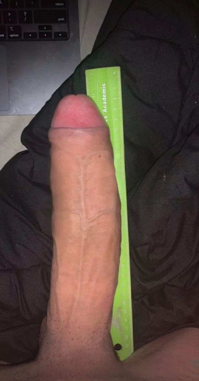 If your close to as huge as my horse cock, lets compare posted by ManicTestosterone