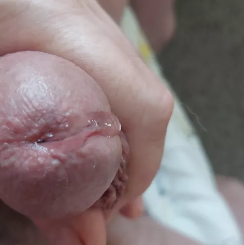 Morning dew by LuvSoCal