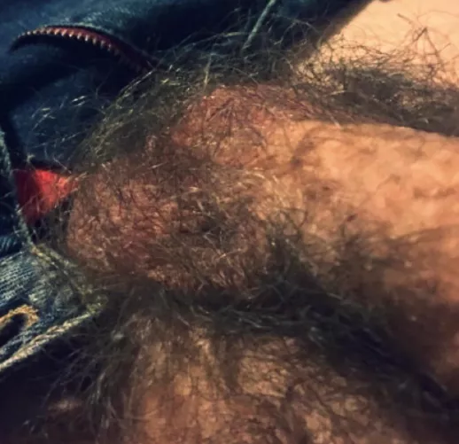 My balls and bush are really hairy by He_Too_Is_Alexander