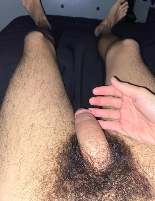 Should I trim? (18) by happinesisabutterfly