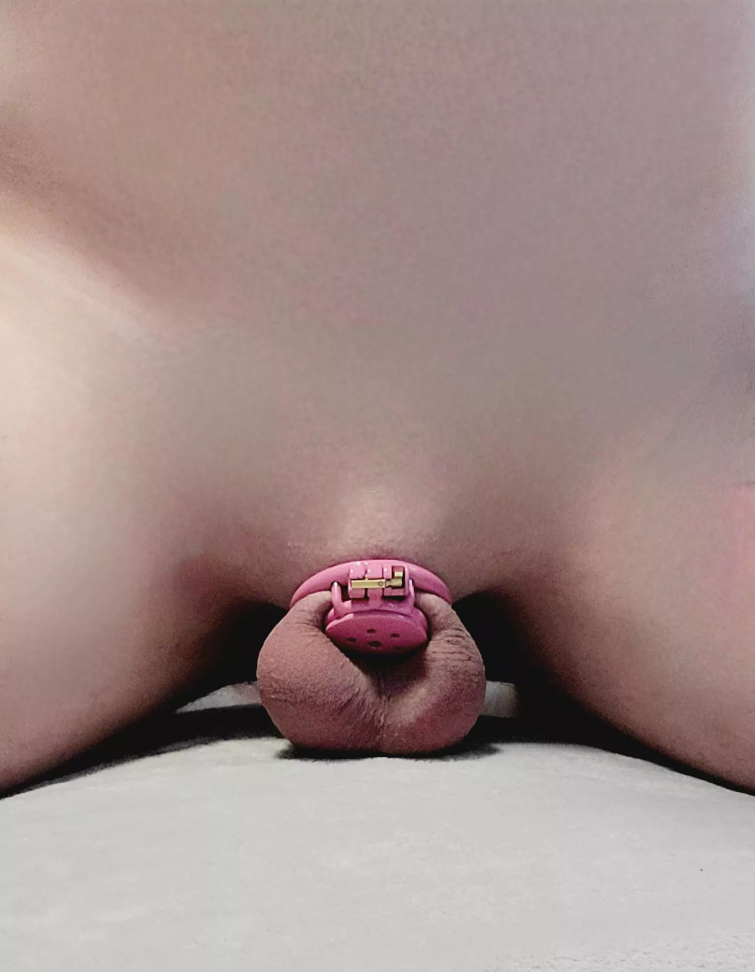 Sissy mornings are the best mornings posted by Inevitable-Farmer719