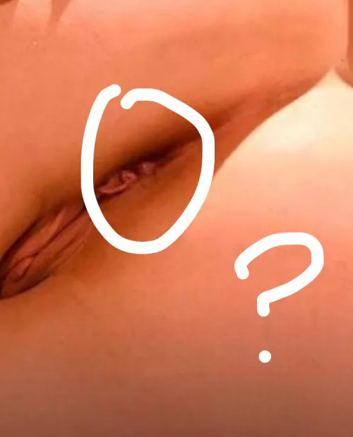 What is this? by Minute_Ad9847