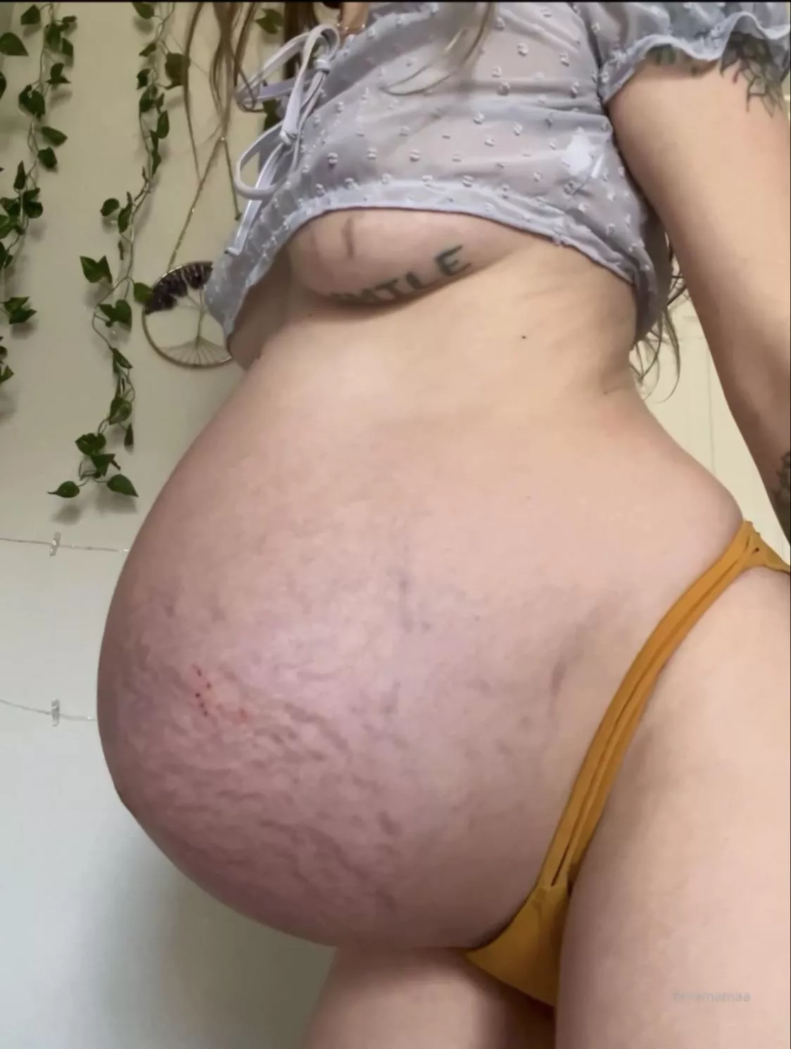 would you invite me over? posted by mysticfaeriexo