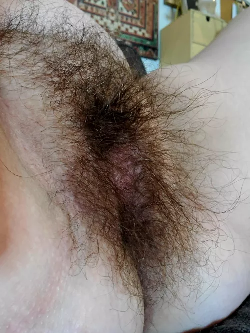 You could count them. by StruggleReasonable73