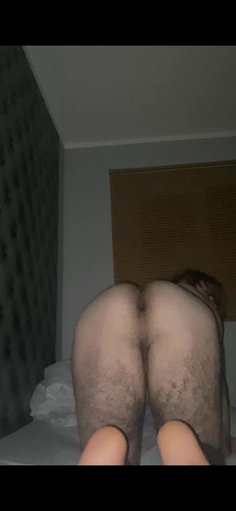 Be honest…would you fuck me? 💝 posted by Comfortable-Pea-1930