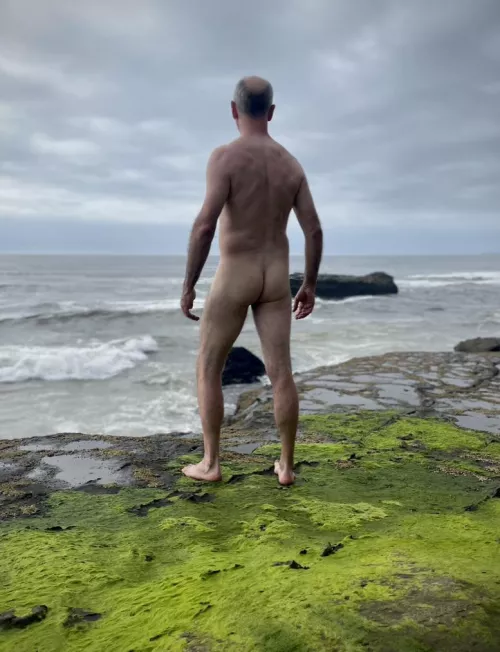 Cake Day on a green carpet by beachandforestfun