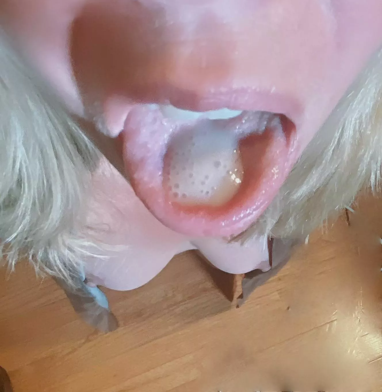 I ate cum before breakfast today posted by ToriLove46