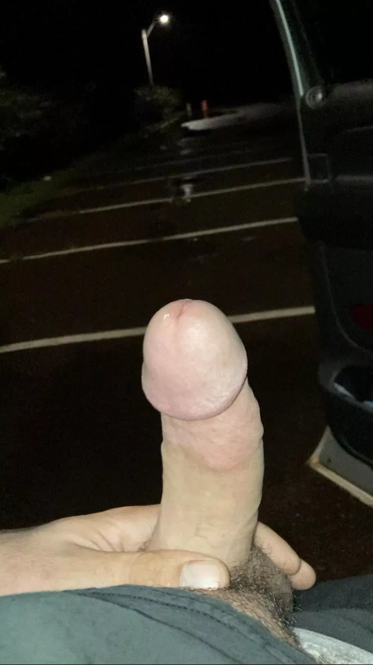 I used to get blowjobs on the hood of my truck in this spot. Couple times I heard people on their boats in the bay cheering me on posted by dandaniels88