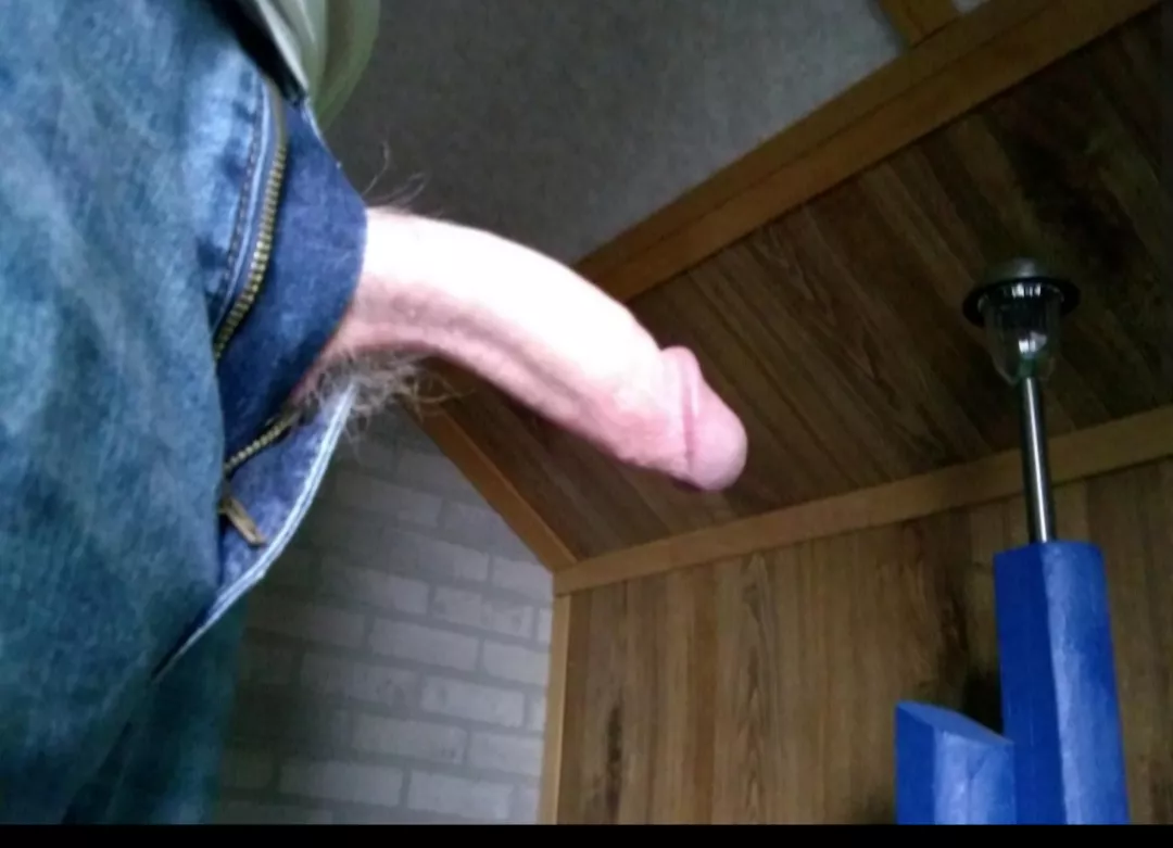 I'm so horny I don't have time to take off my jeans. posted by Iam_The_PiGgY