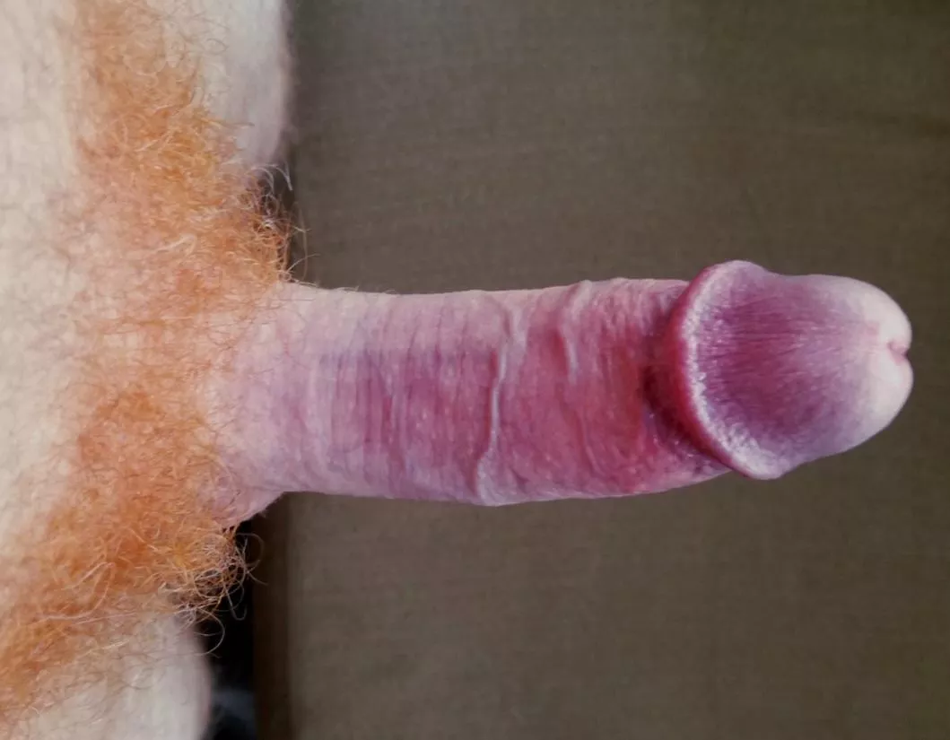 My Ginger Penis - A Color Study posted by MacReadyKing