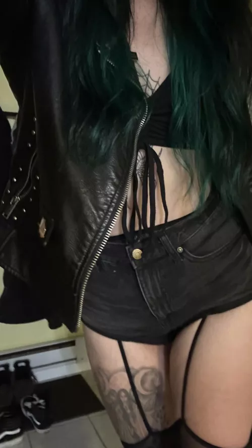 What was your favorite show this year?! by NEstonedhiker