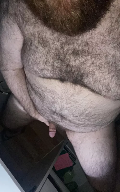 y'all bears always make me rock hard by sspacebear