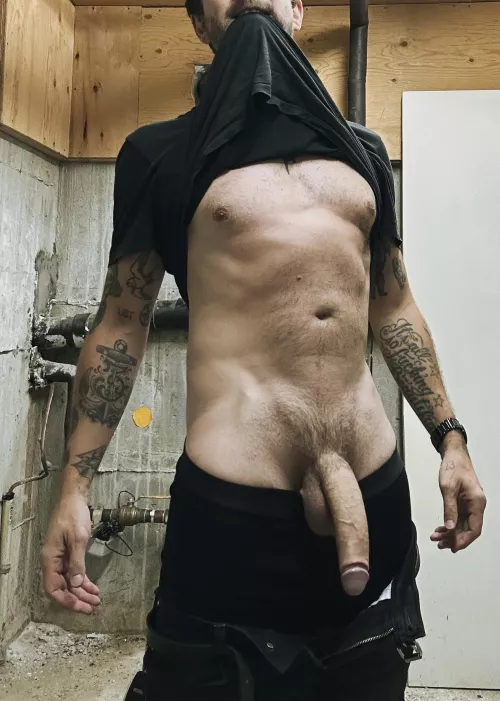 Are there any bros who would let me breed them down here? (35) by matthardney