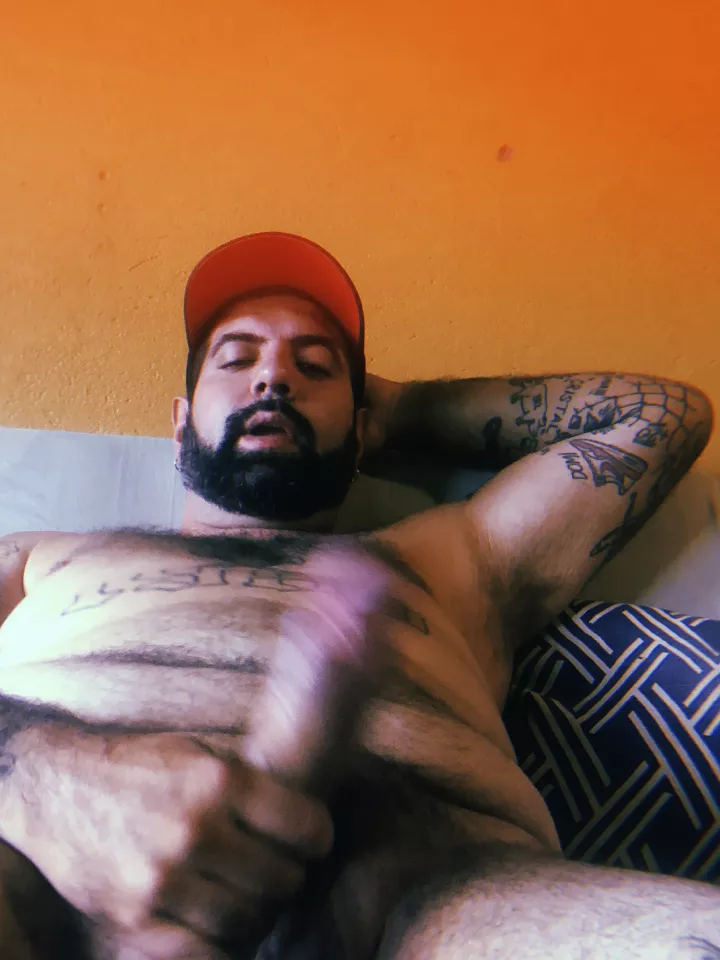 Cuddles here? posted by lucasghb