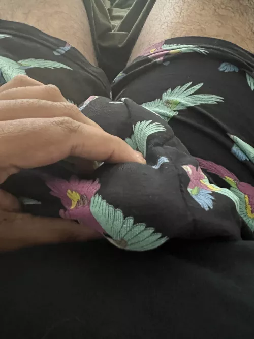 Horny rn lol. Feel free to dm! by Ok_Foundation_3508