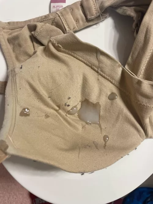 I’m back cumming on my sister bras by Diligent-Program4899