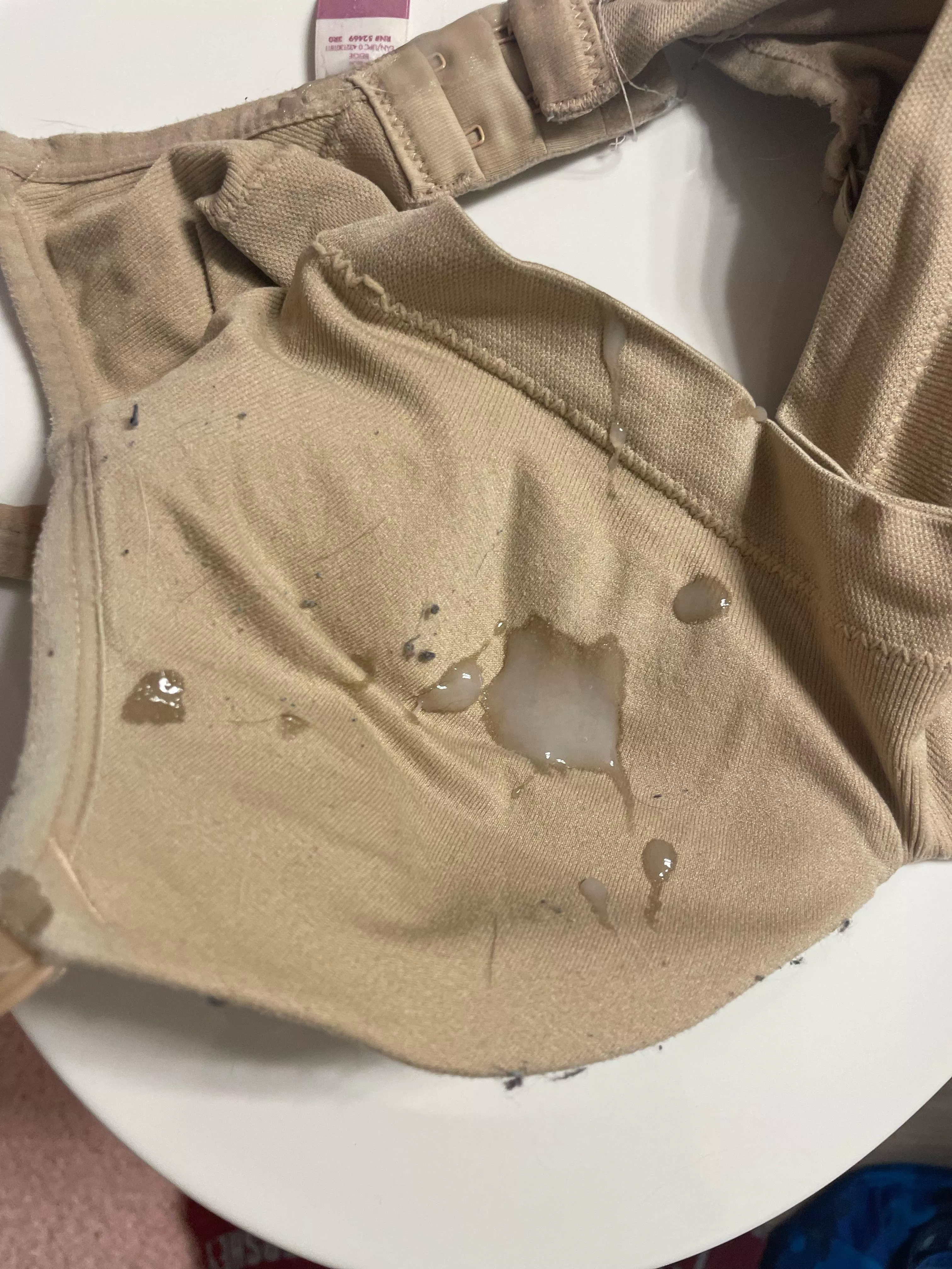 I’m back cumming on my sister bras posted by Diligent-Program4899