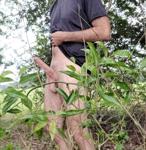 Let's take a hike by SouthernStoner2011