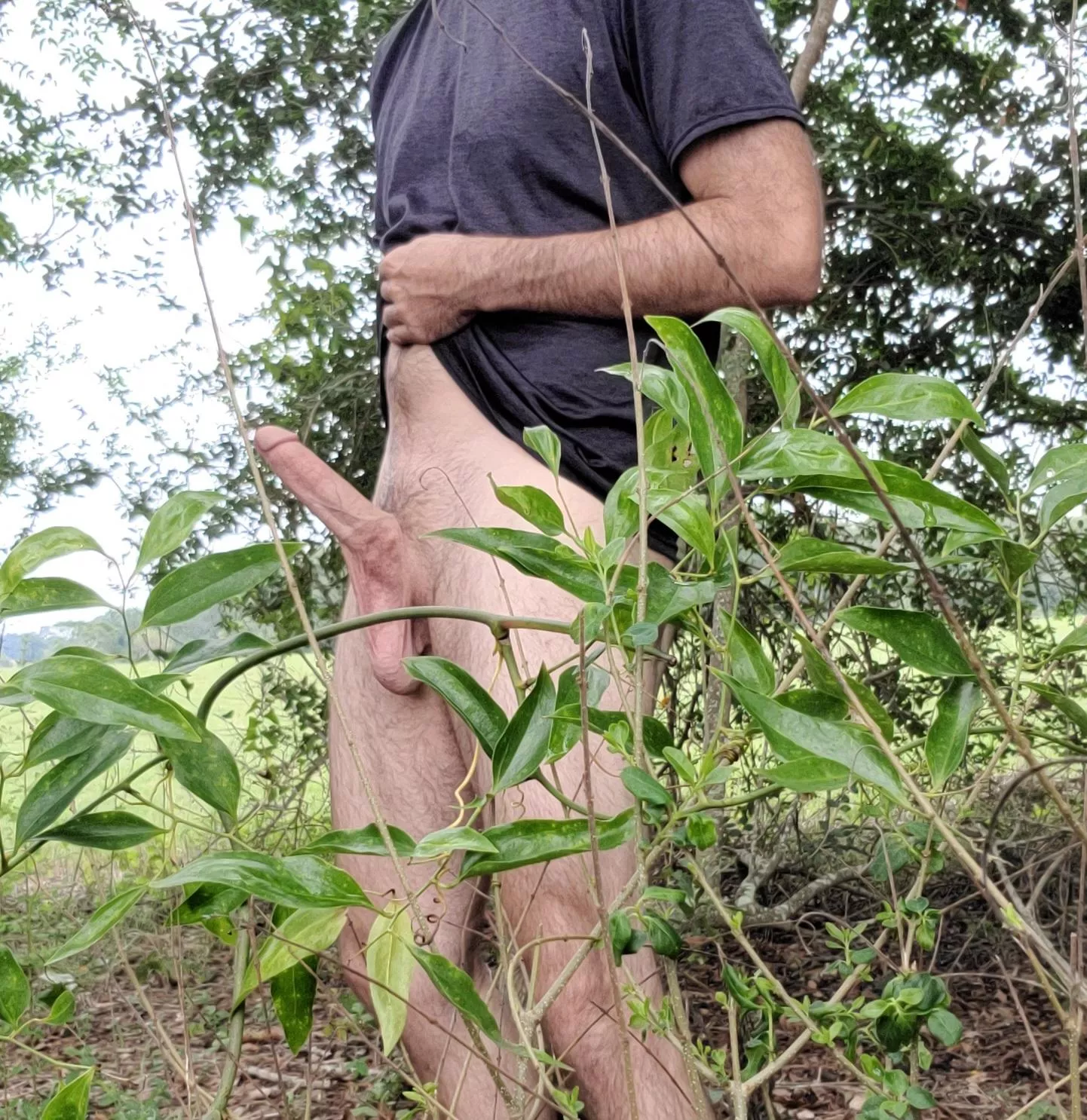 Let's take a hike posted by SouthernStoner2011