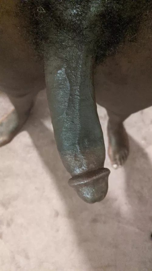 POV right before you get down to suck it by taboolarossi