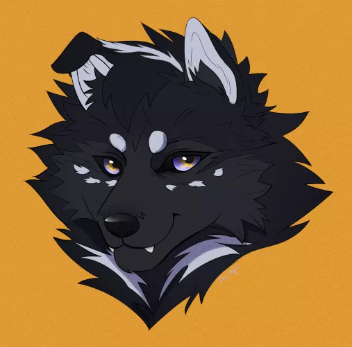 Re-drew the fursona I made as a teen, I might keep him as my actual fursona tbh. His name is Kuro! by Crow5202