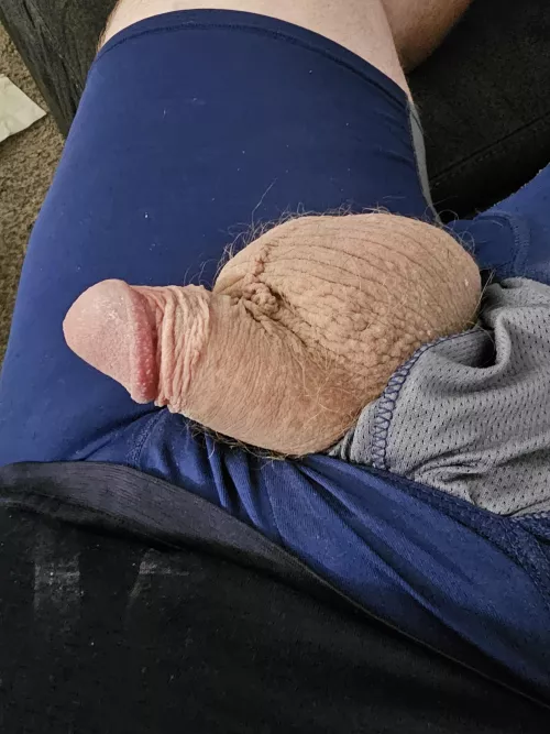 Soft on the couch by Gryla333