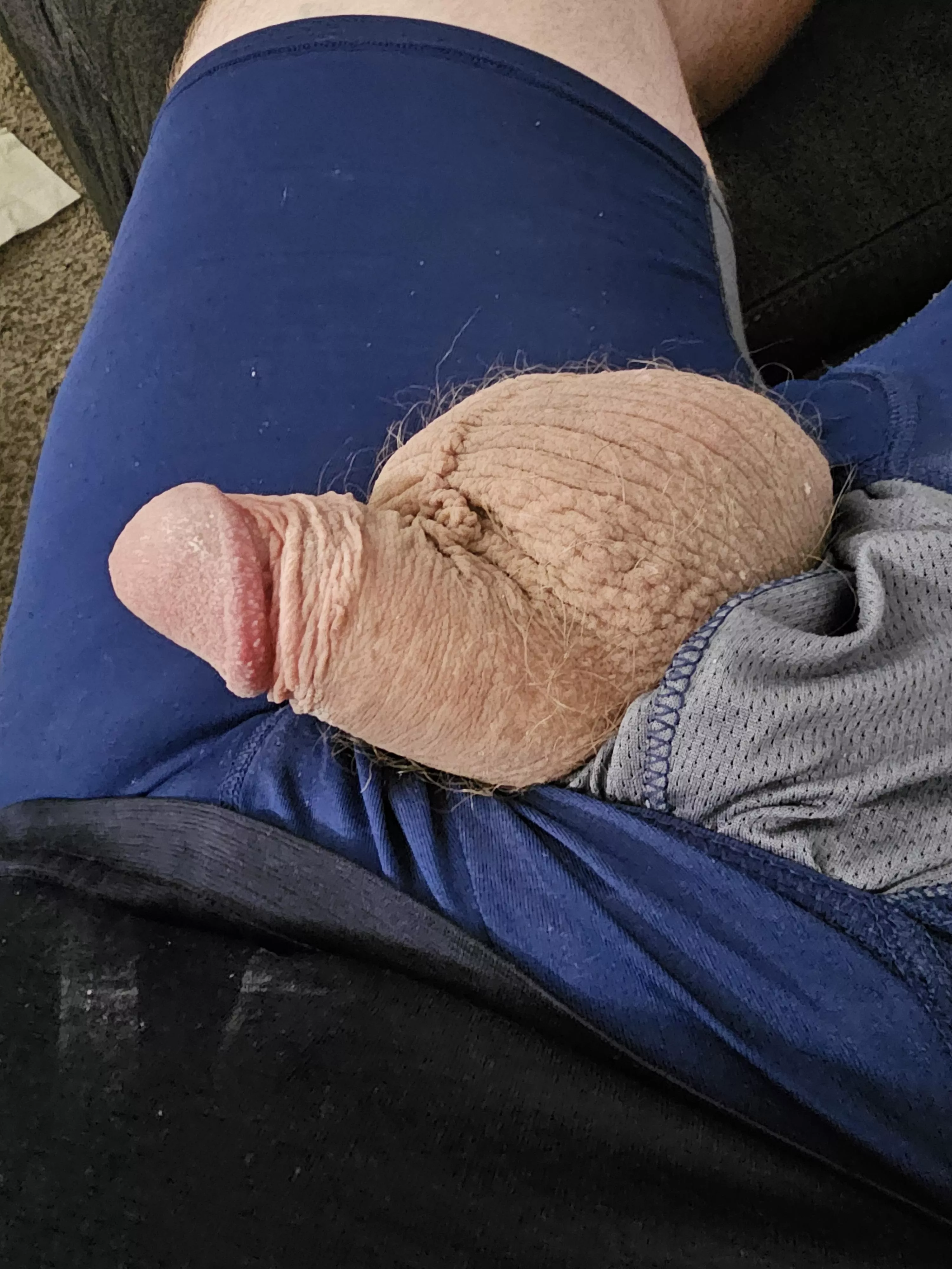 Soft on the couch posted by Gryla333