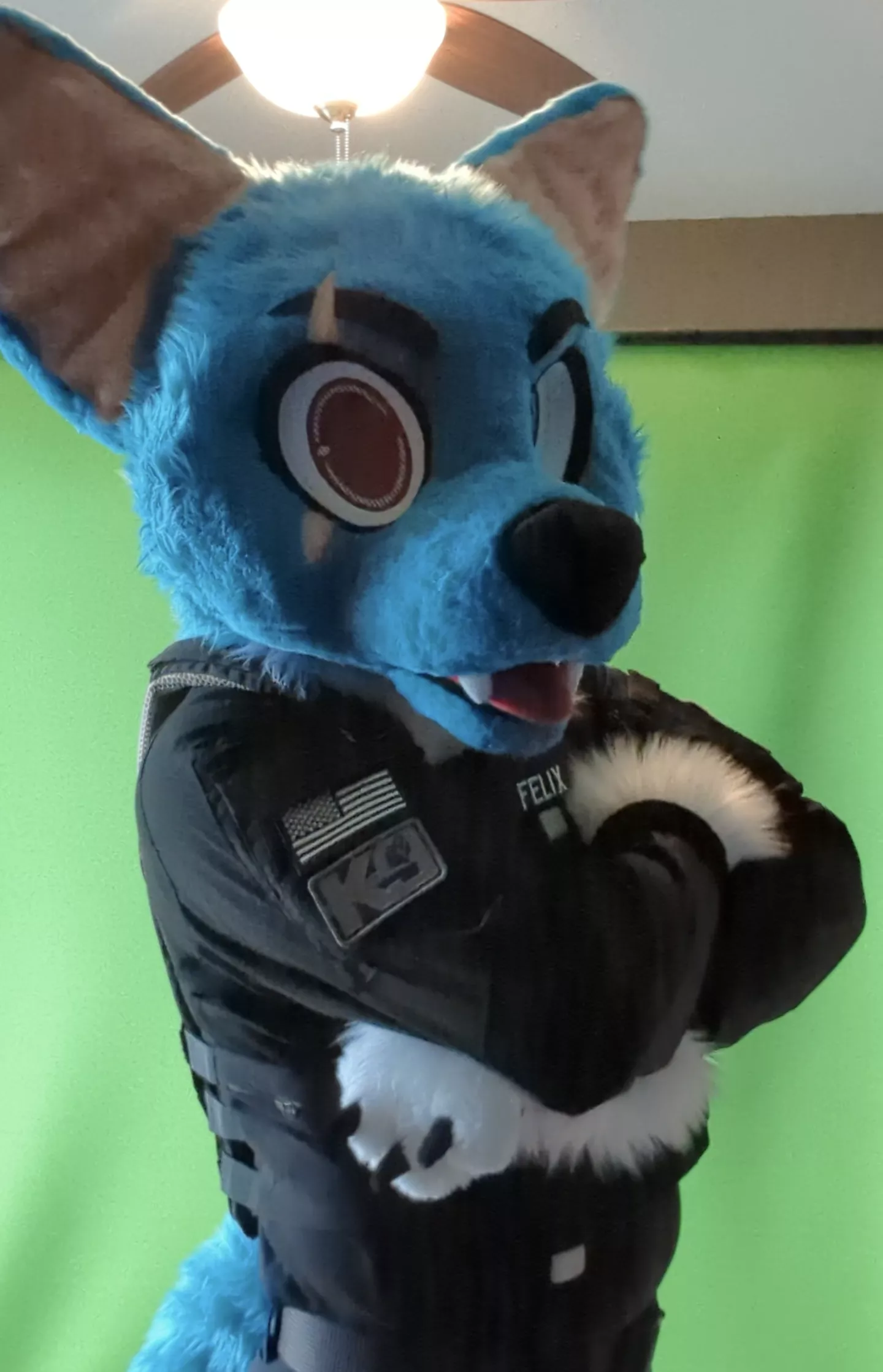 Stop!!! You Violated the Law! For being too CUTE! posted by GeneralPatton1