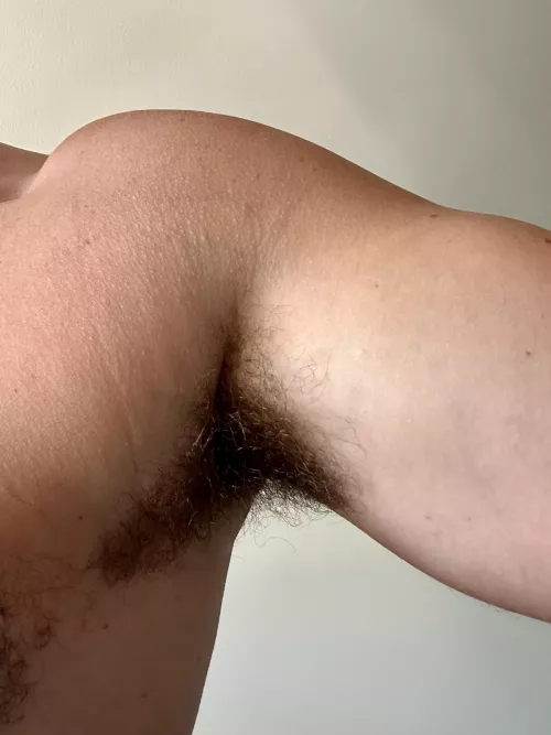 These need some attention today by chicagootter312