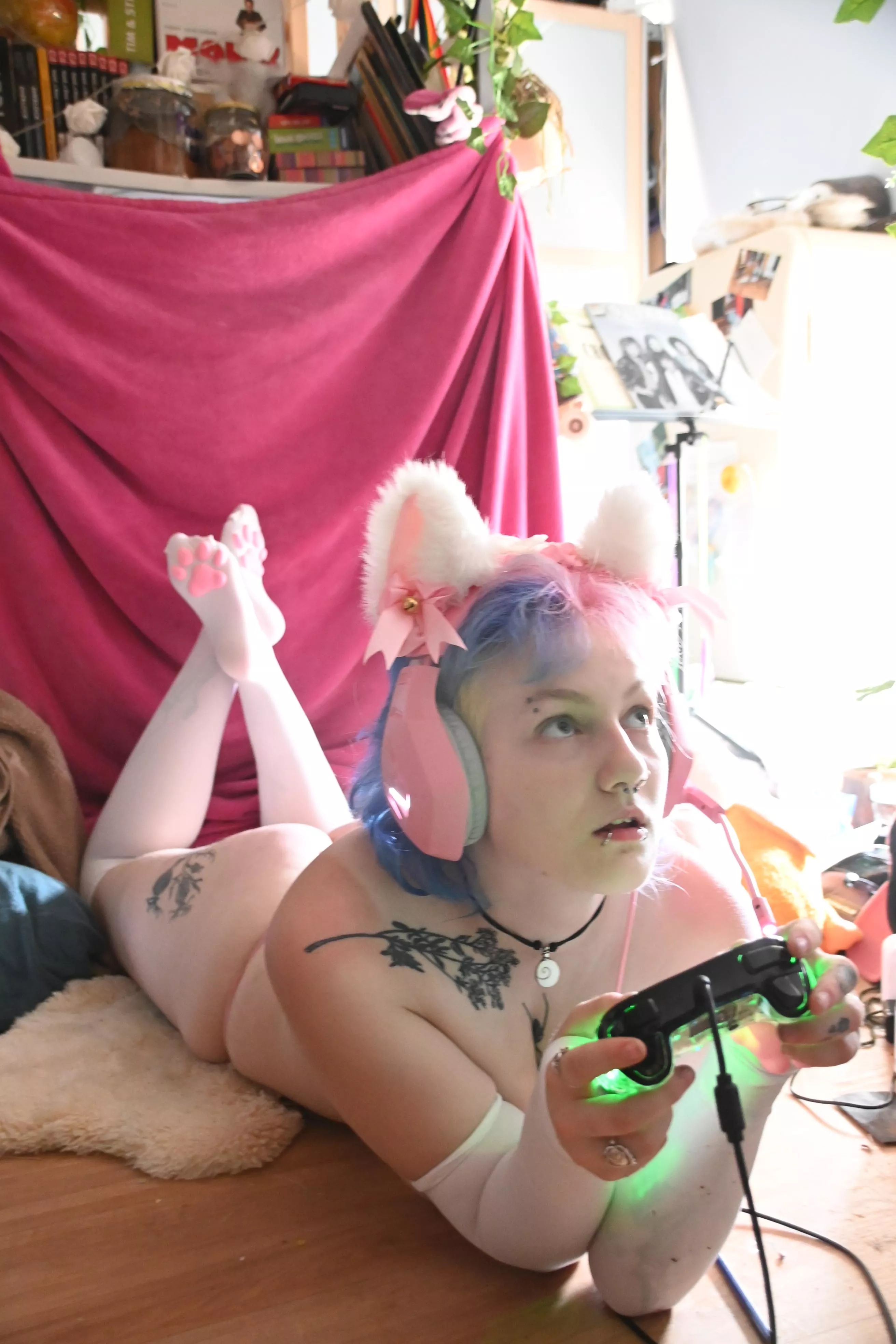 This cat is in heat and needs someone to breed her ;) posted by FreakingTrap