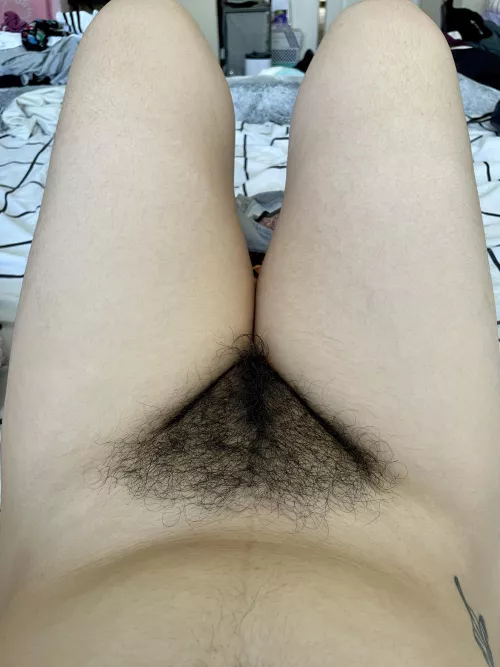 Don’t you wish your head was between my knees? by sweettealeaf