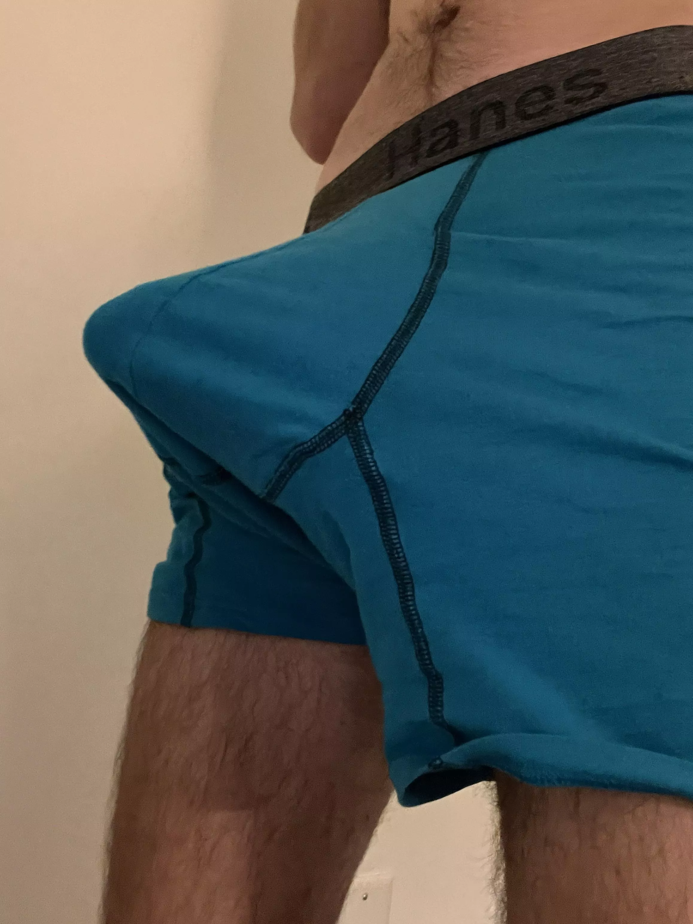 How big do you think I am lol posted by CharmingNCocky