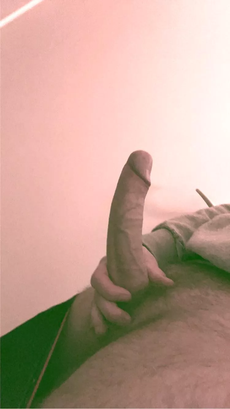 Rise and shine posted by Zealousideal_Ad_5187