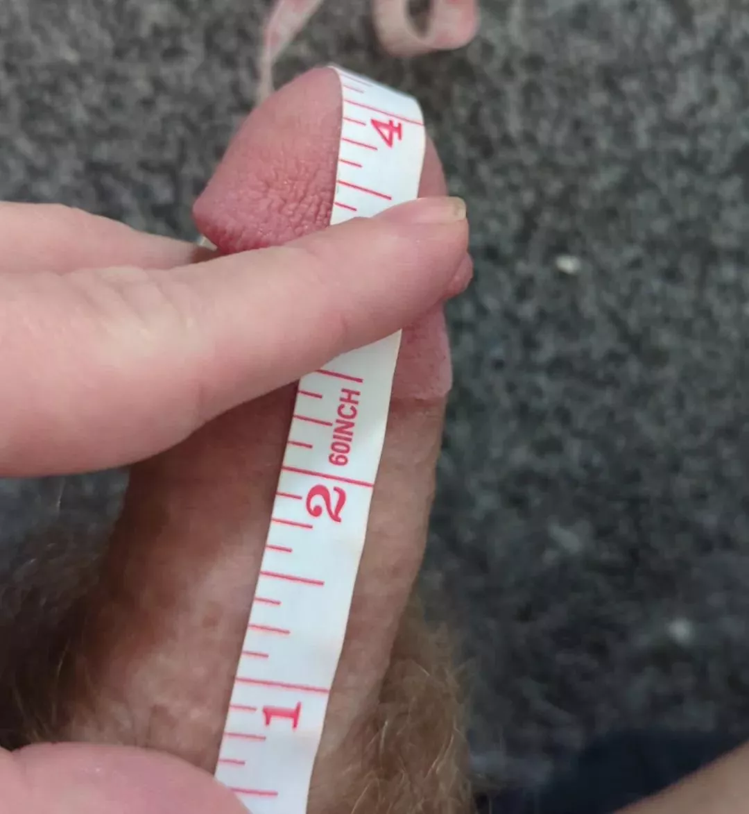 Total bottom, love huge cocks, been told it might be because mines quite small. posted by Squiffbtt