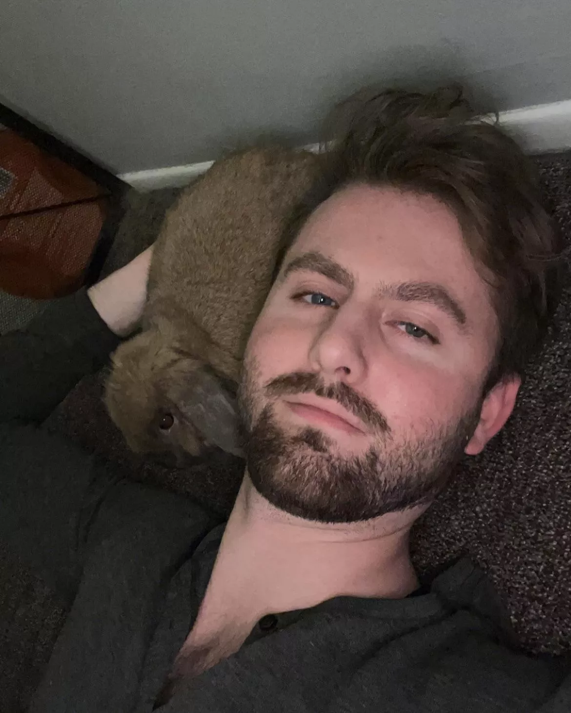 What would you think if you were scrolling and I popped up? posted by thebrownline