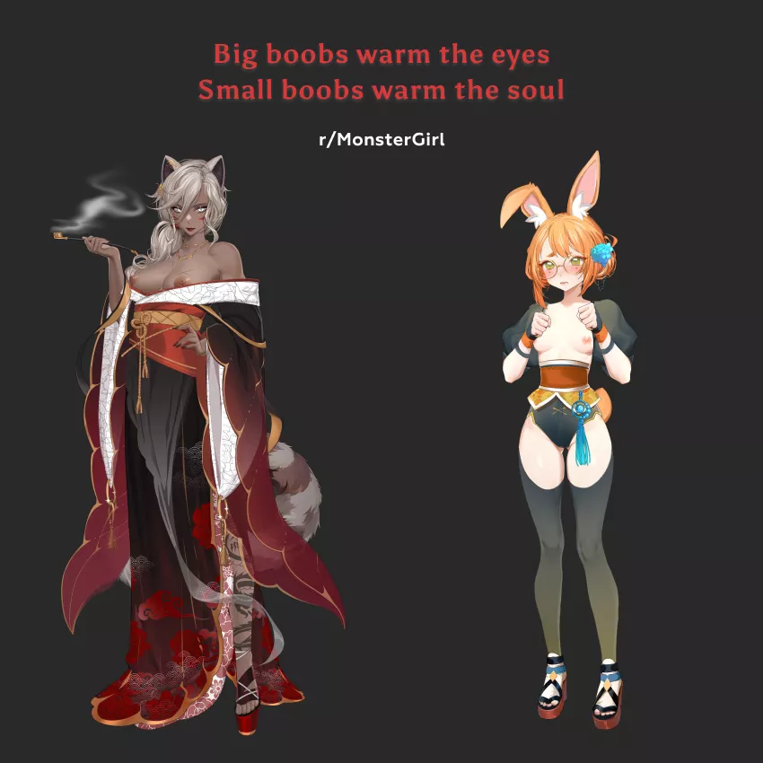Big boobs or Small boobs? posted by WANDERER_GAME