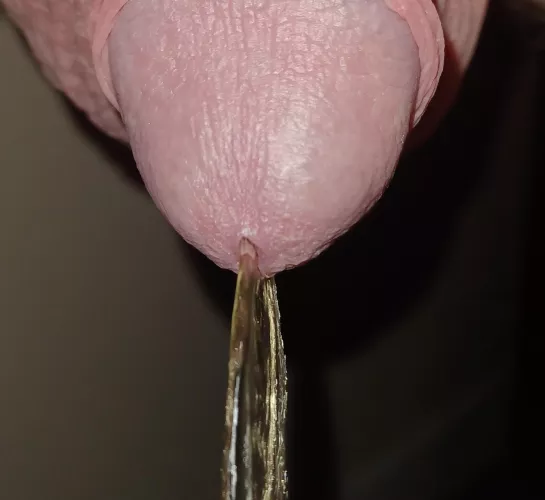 Close up by mr-him-husband