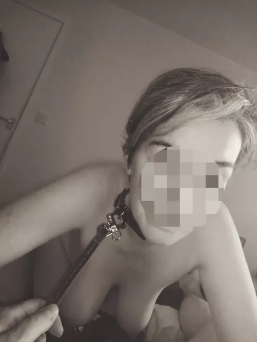 Collar and short lead. by hstarks1