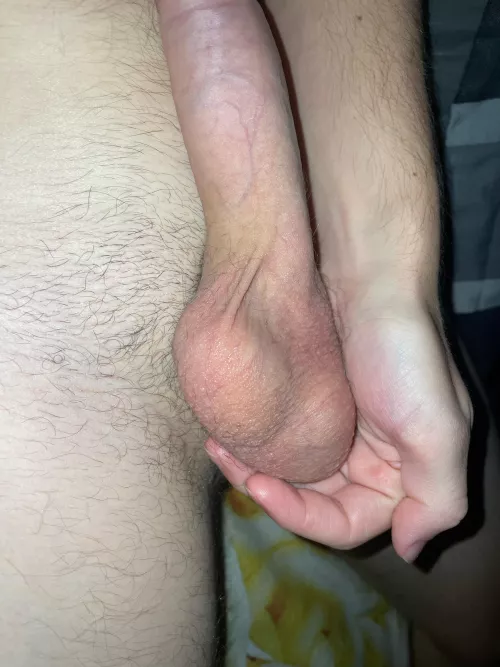 Could use some help by Motor_Ant_2543