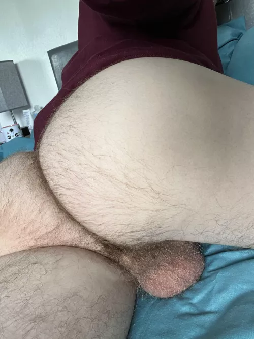 Feeling fuzzy by bingobobhandjob