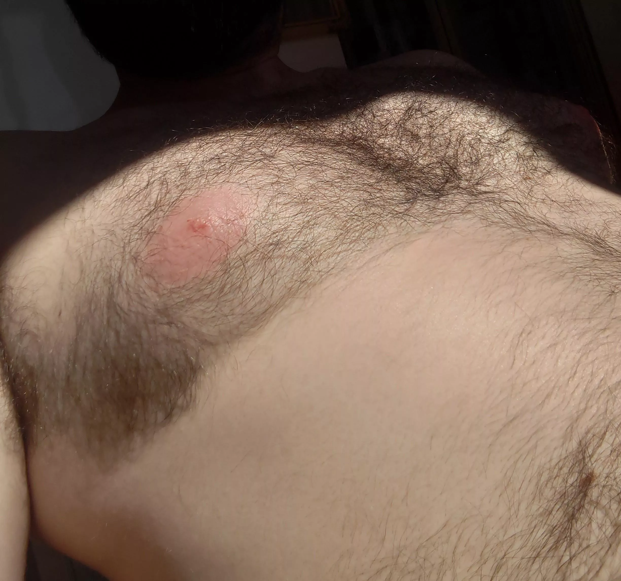 Have a lick posted by No_Helicopter815